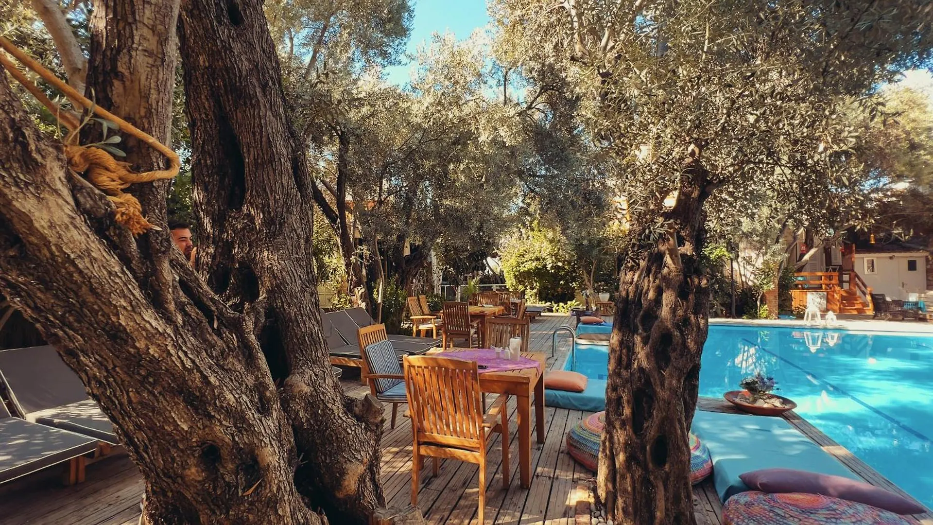 Oyster Residences - Adult Only Oludeniz 4*,  Turkey